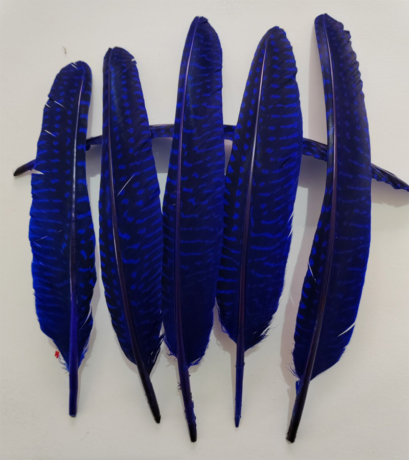 Plumes! 100 pièces/lot! Plumes - Art Quilling Craft avis et prix