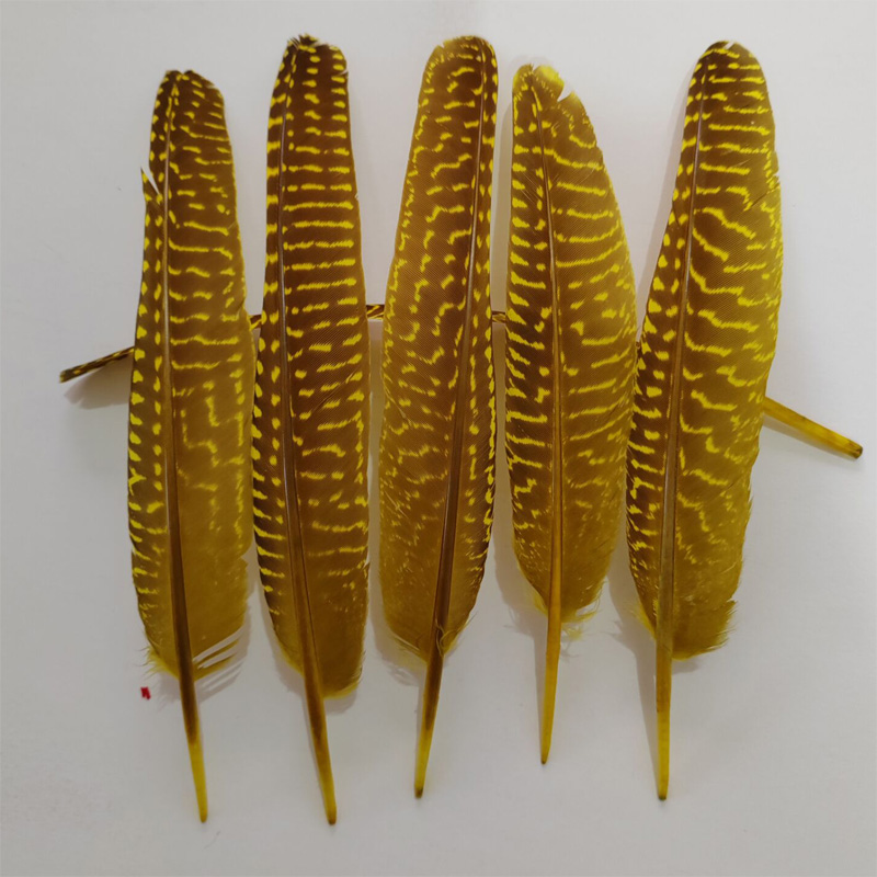 Plumes! 100 pièces/lot! Plumes - Art Quilling Craft avis et prix